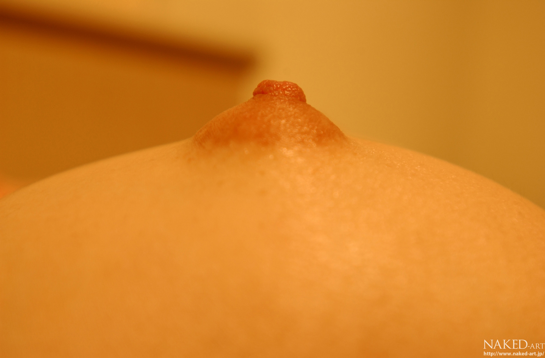 相片 4