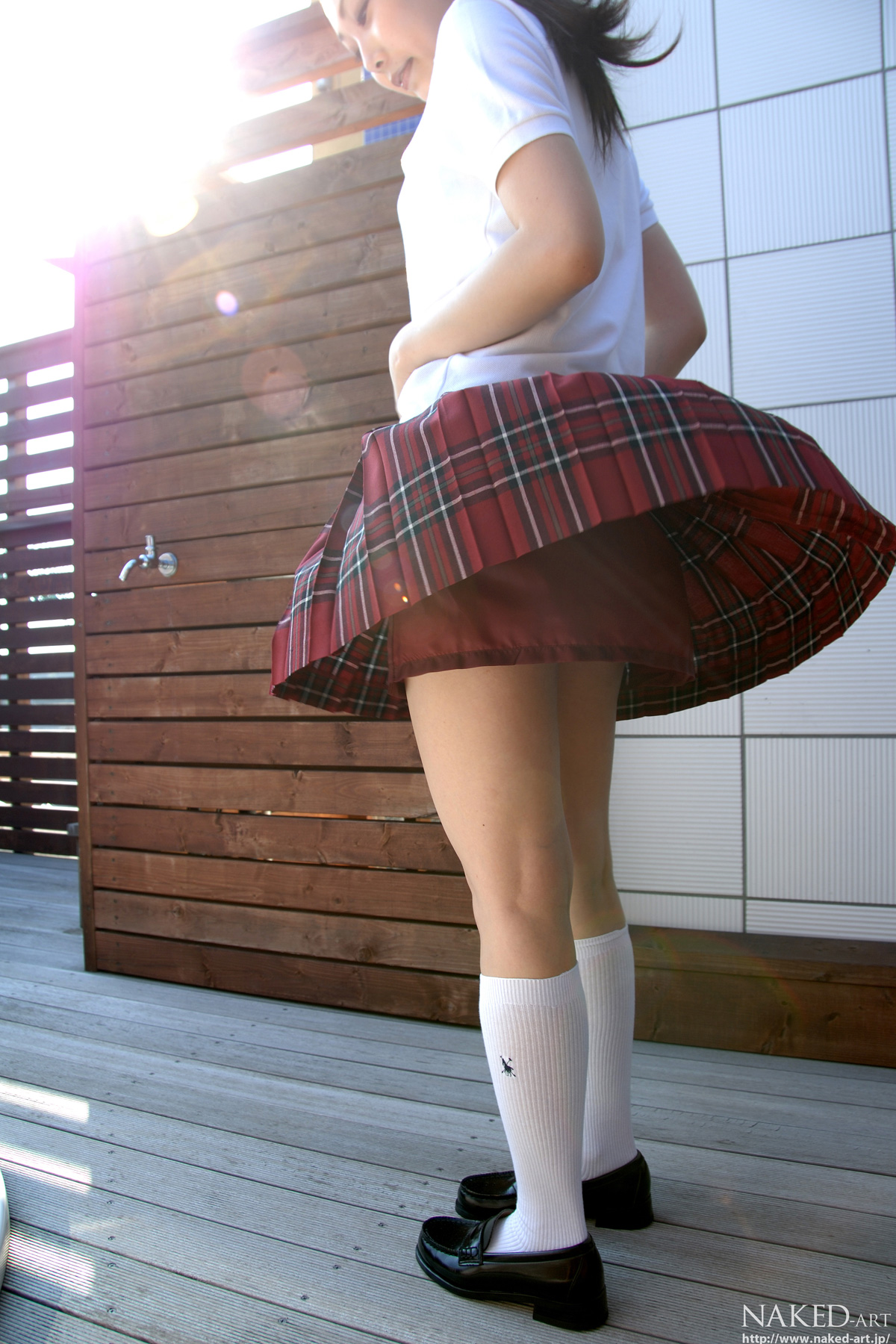 相片 7
